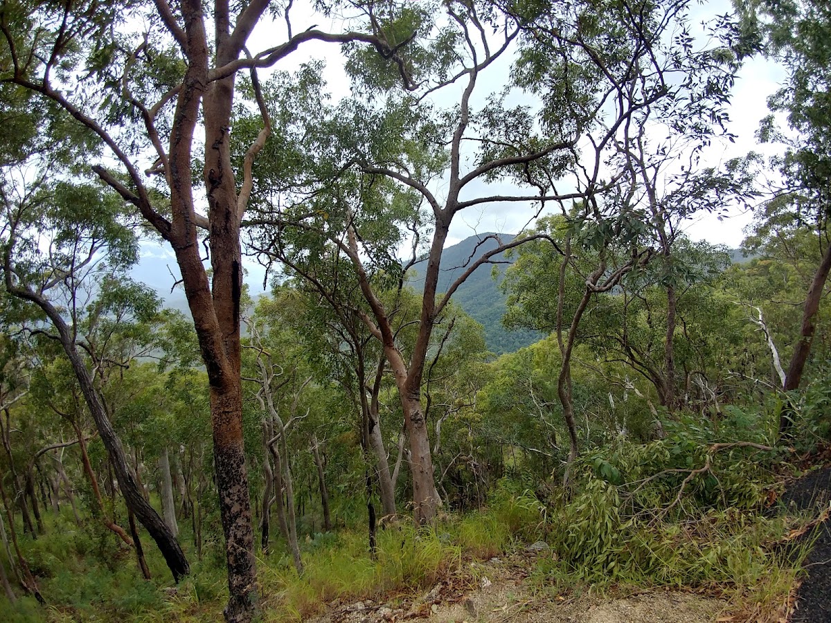 Gadgarra National Park