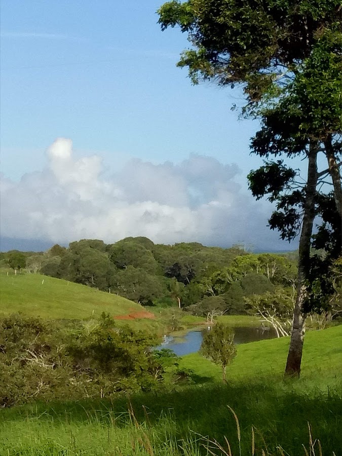 Gadgarra National Park