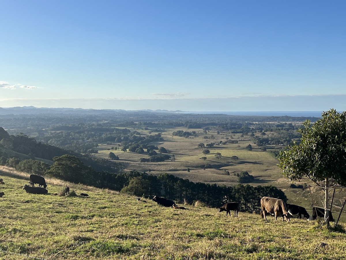 St Helena Lookout