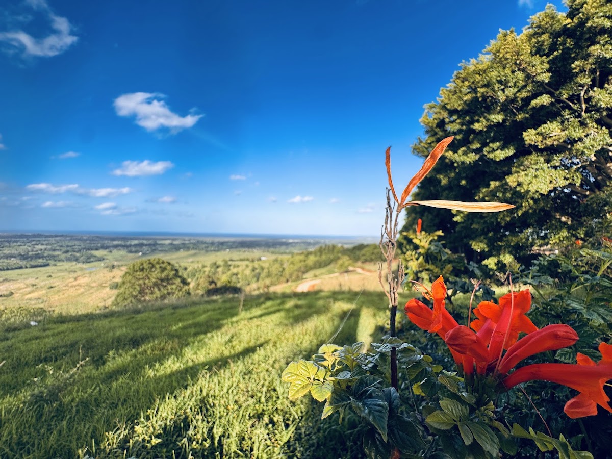 St Helena Lookout