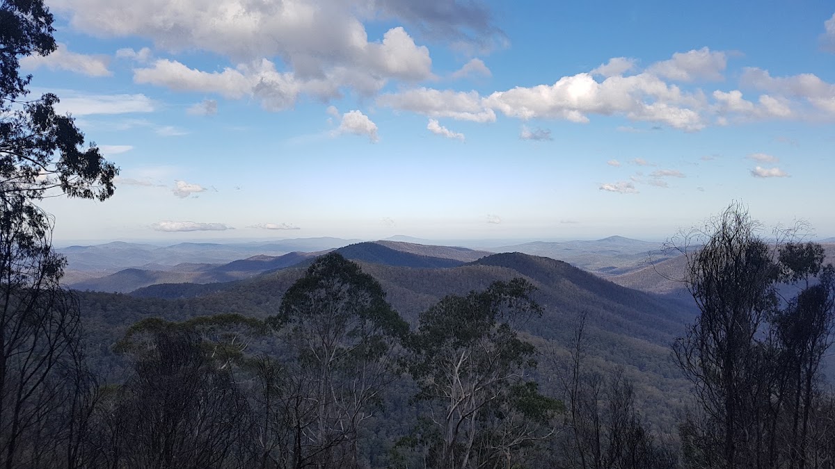 Errinundra National Park