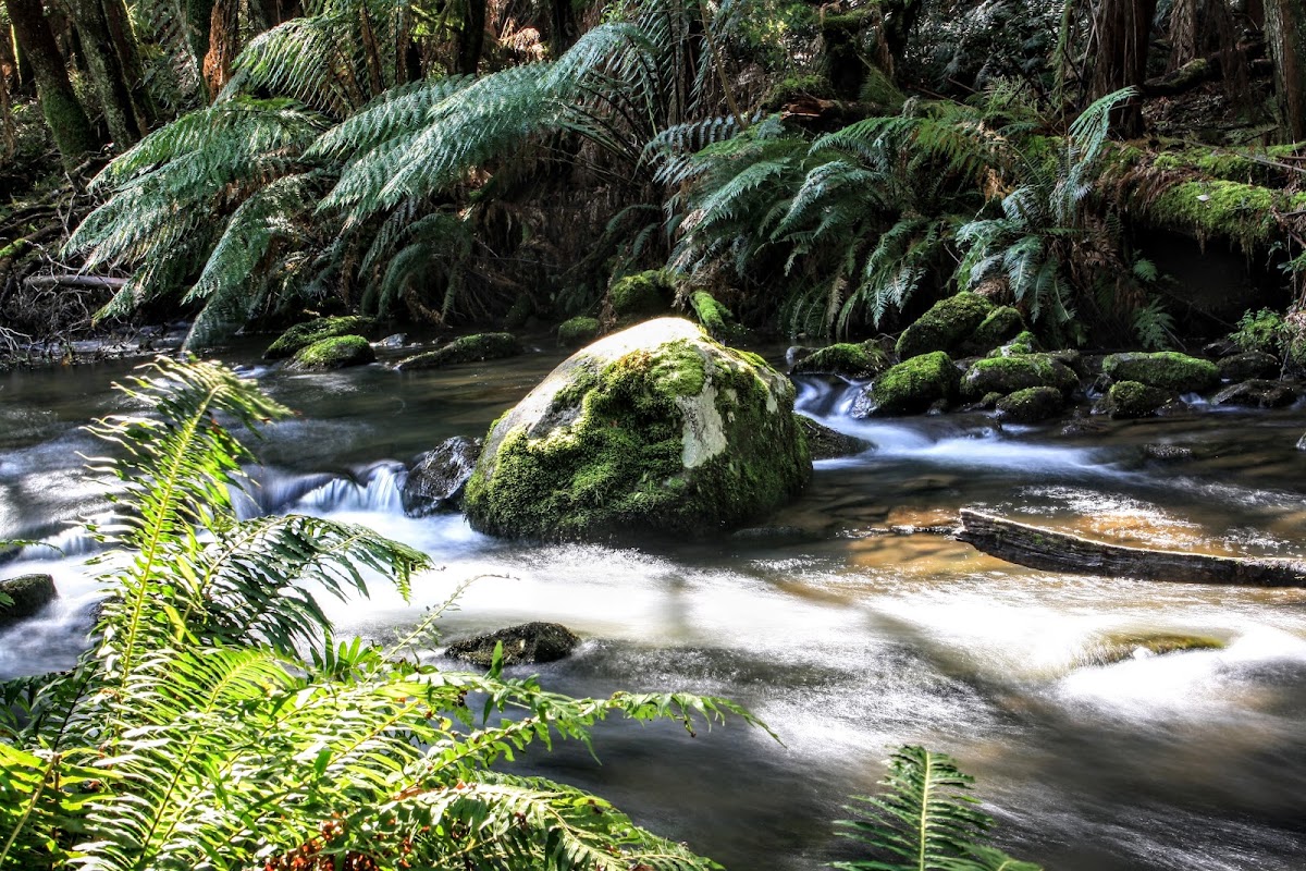 Helens Falls