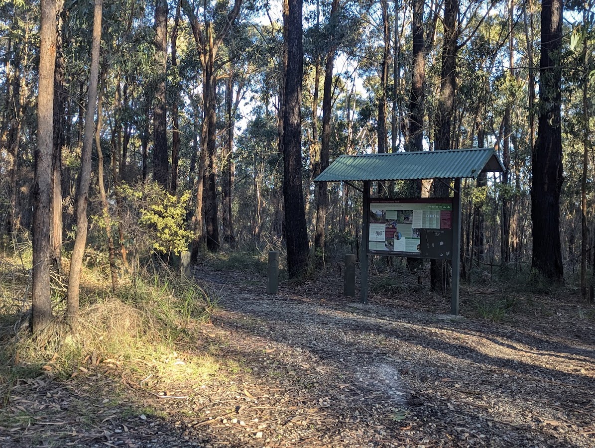 Forest Road Trail Bike Unloading Area