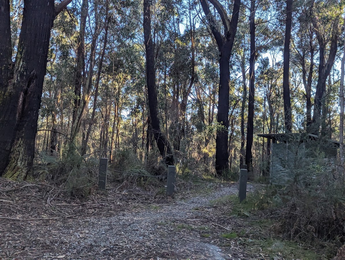 Forest Road Trail Bike Unloading Area
