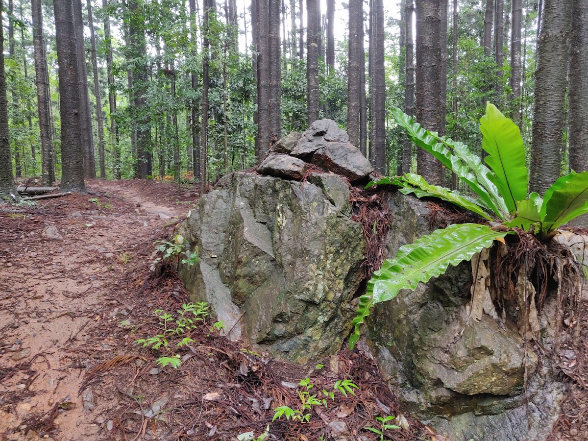 Smithfield Conservation Park