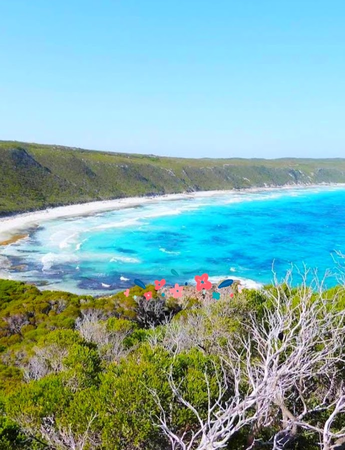 Fanny Cove