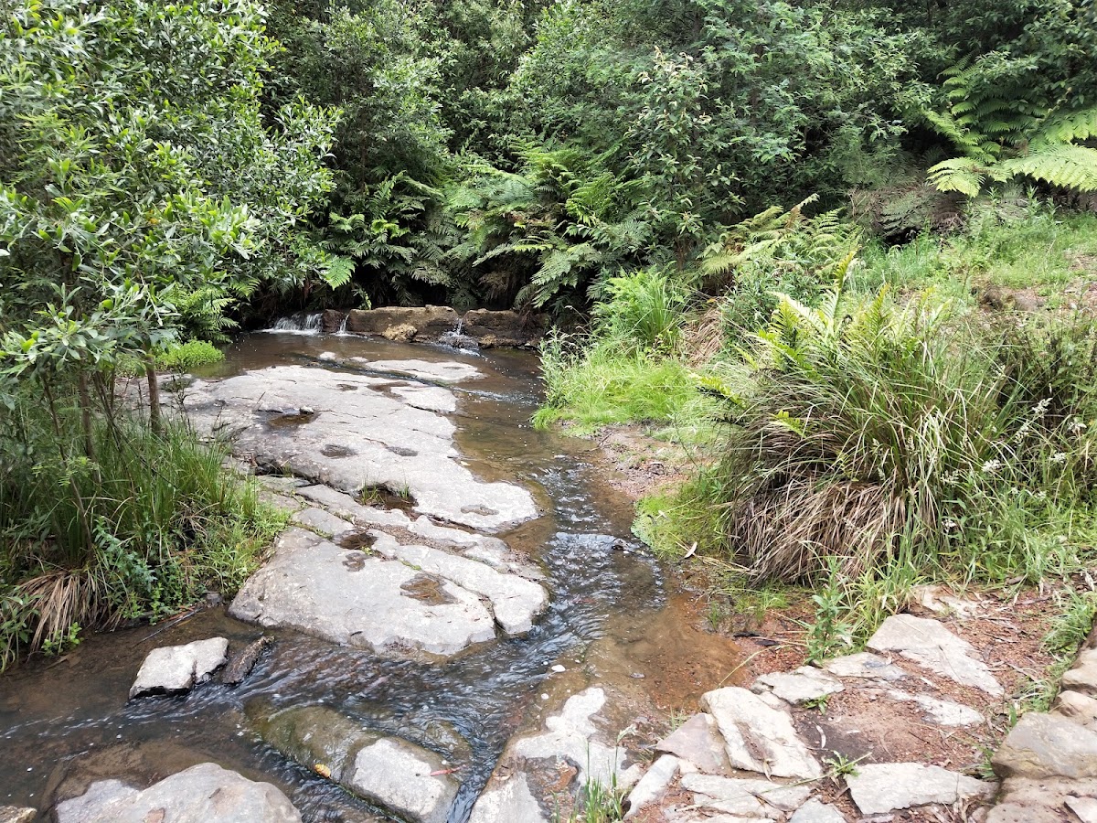 Carlsen Falls