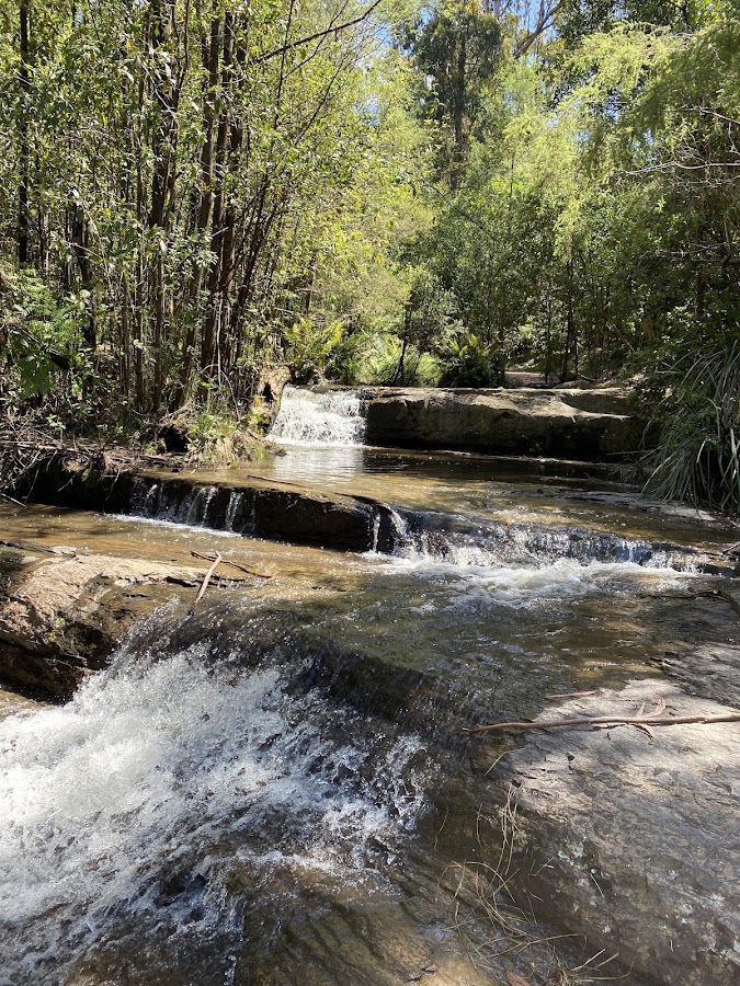 Carlsen Falls