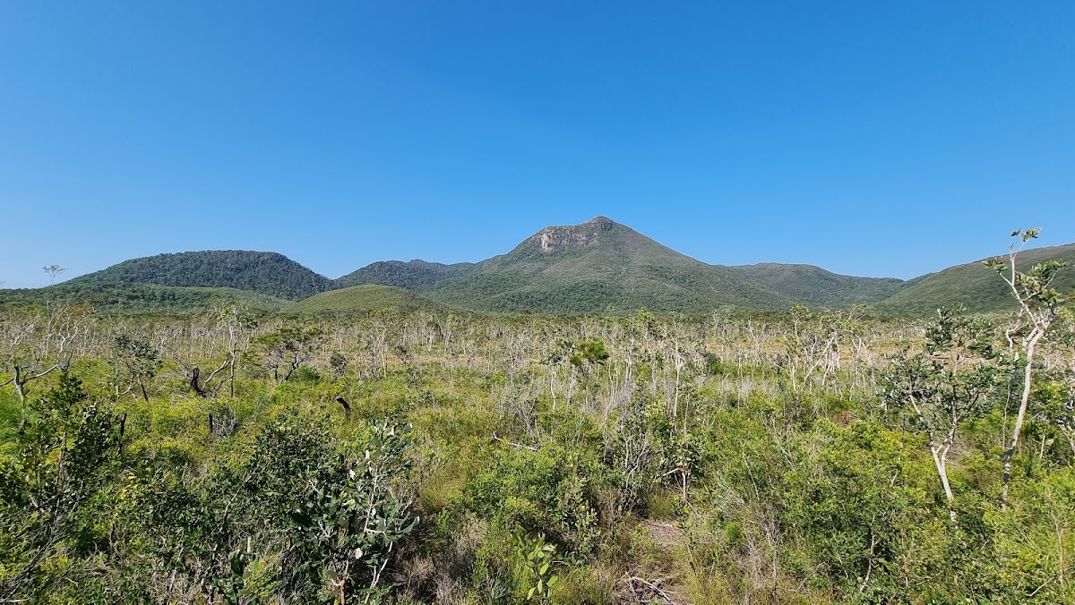 Mt. Tozer Lookout