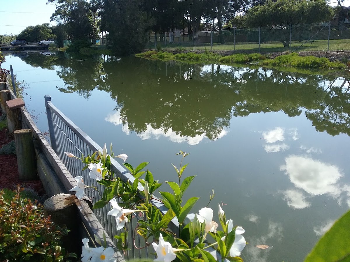 Sheralee Tourist Caravan Park