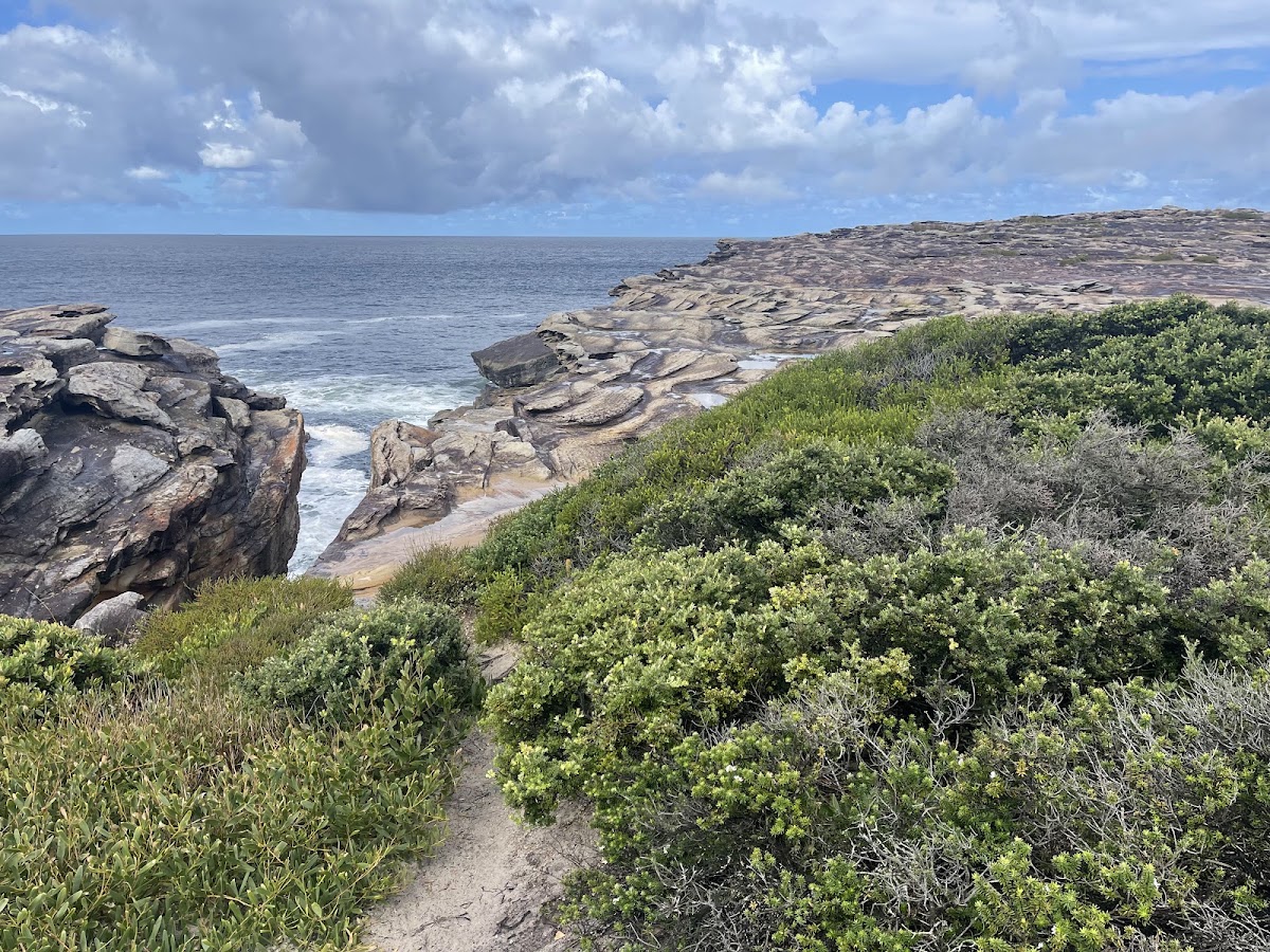Malabar Headland National Park