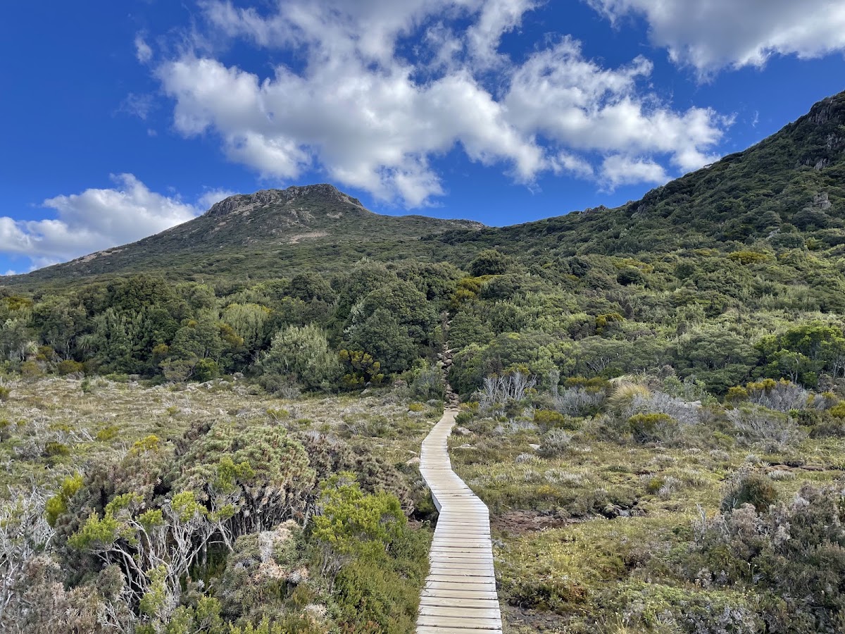 Hartz Mountains National Park