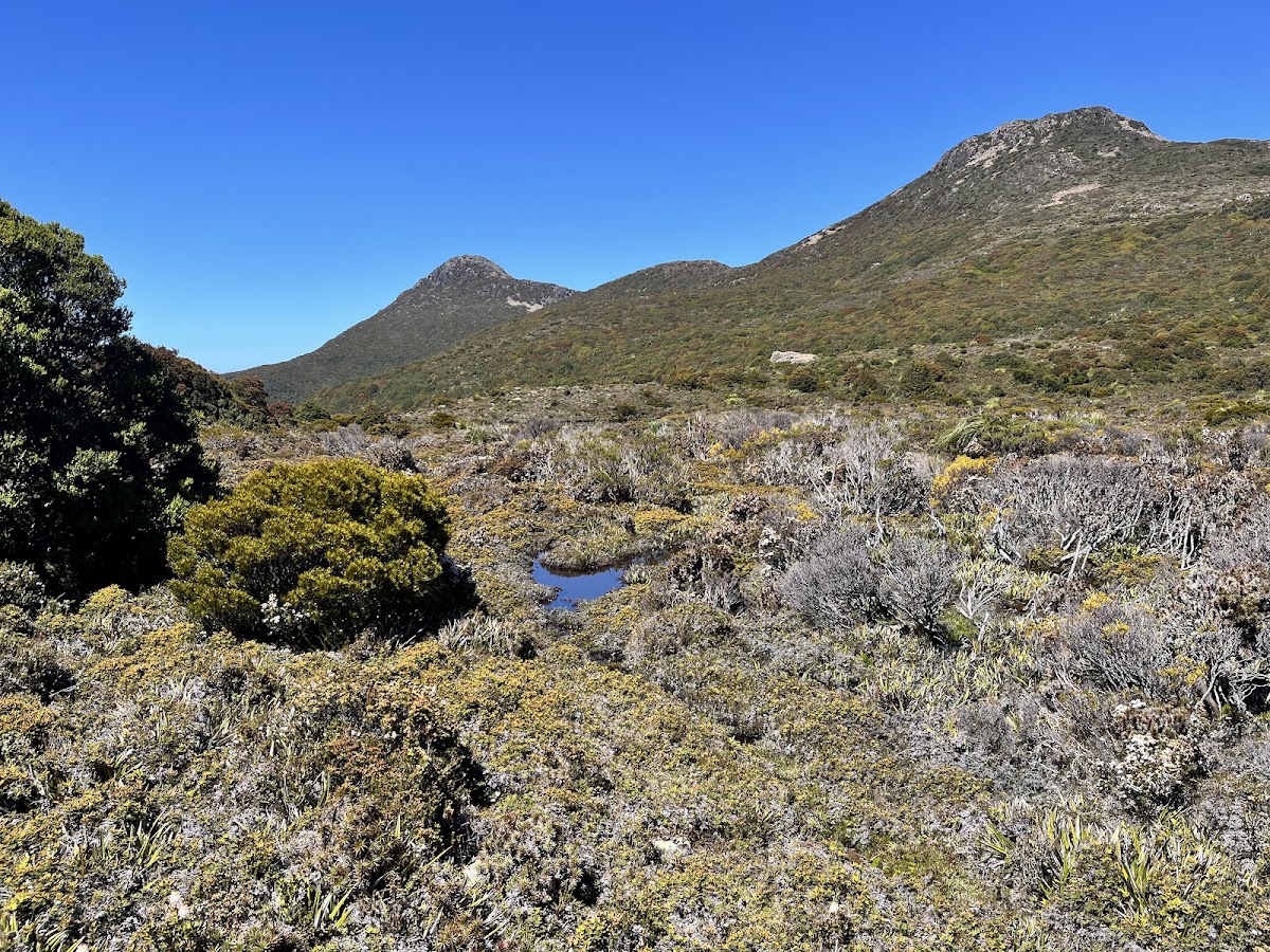 Hartz Mountains National Park