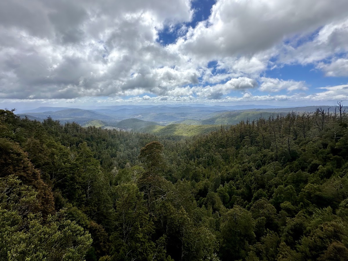Hartz Mountains National Park