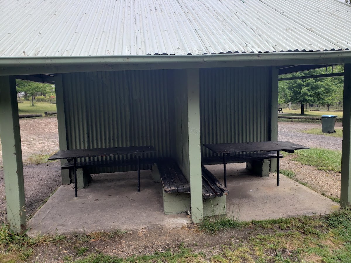 Cathedral Forest Campsite