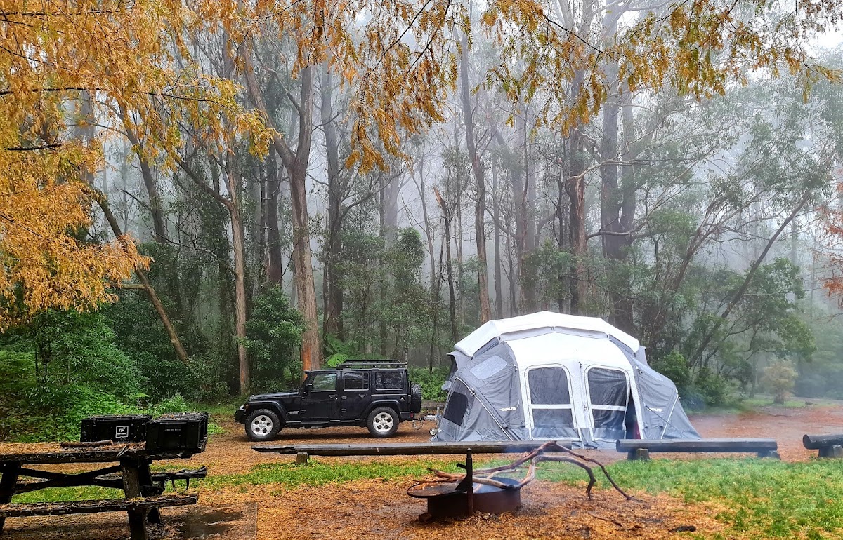 Cathedral Forest Campsite