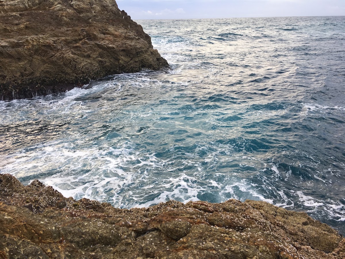 Whale Rock