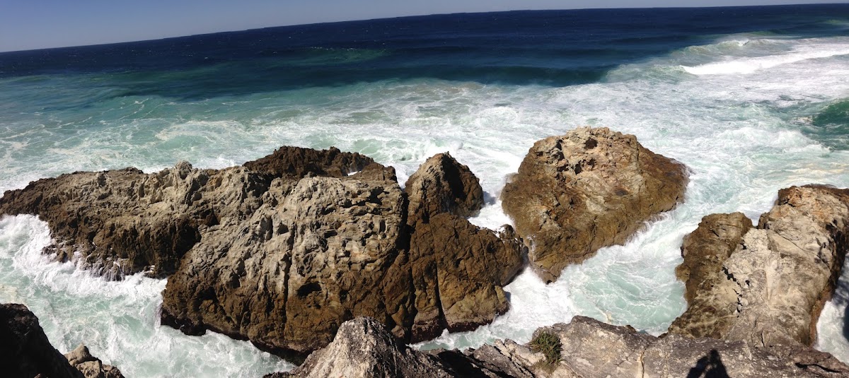 Whale Rock