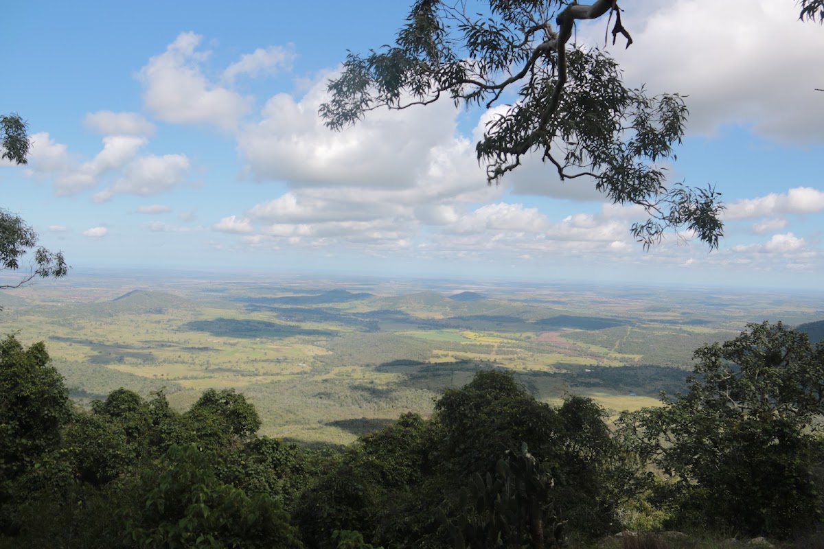 Bunya Mountains Conservation Park