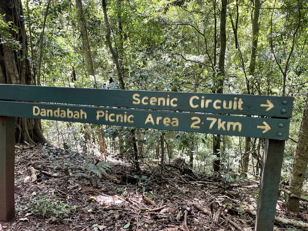 Bunya Mountains Conservation Park