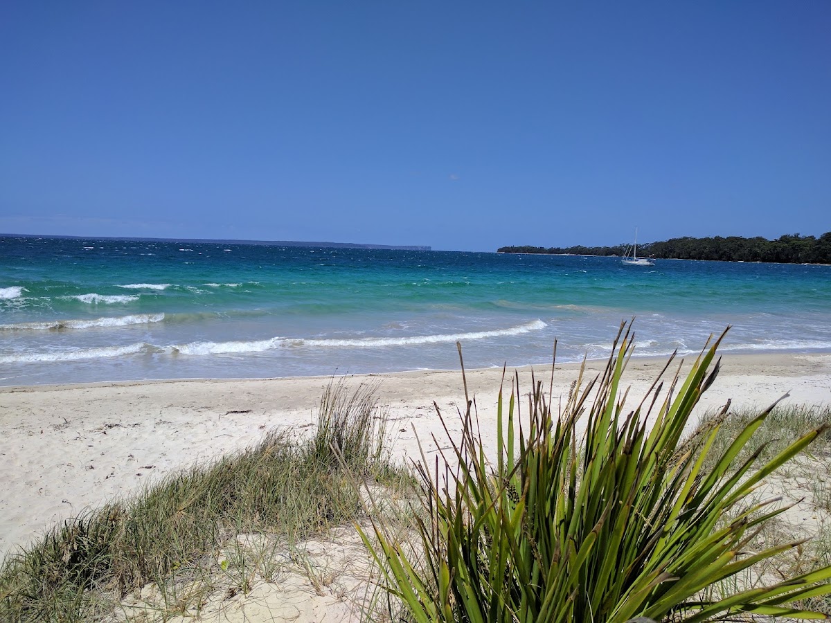 NSW Jervis Bay National Park