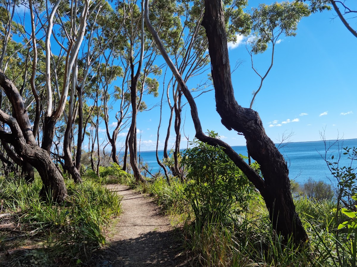 NSW Jervis Bay National Park