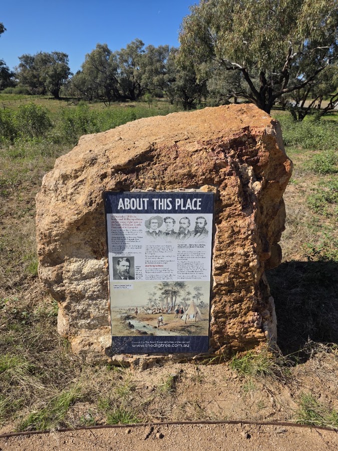Burke & Wills Dig Tree