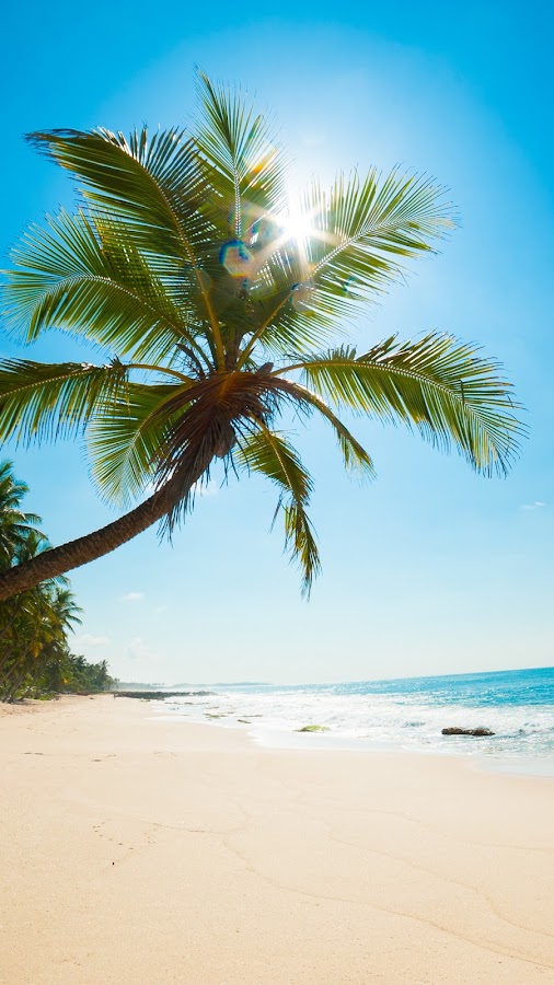 Royal Pacific Tourist Retreat