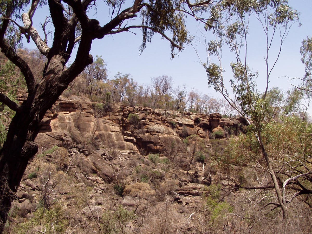 Weddin Mountains National Park
