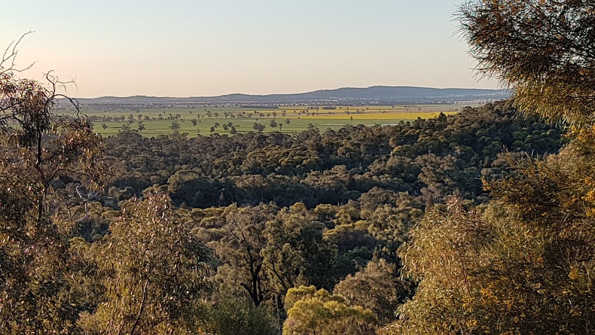 Weddin Mountains National Park