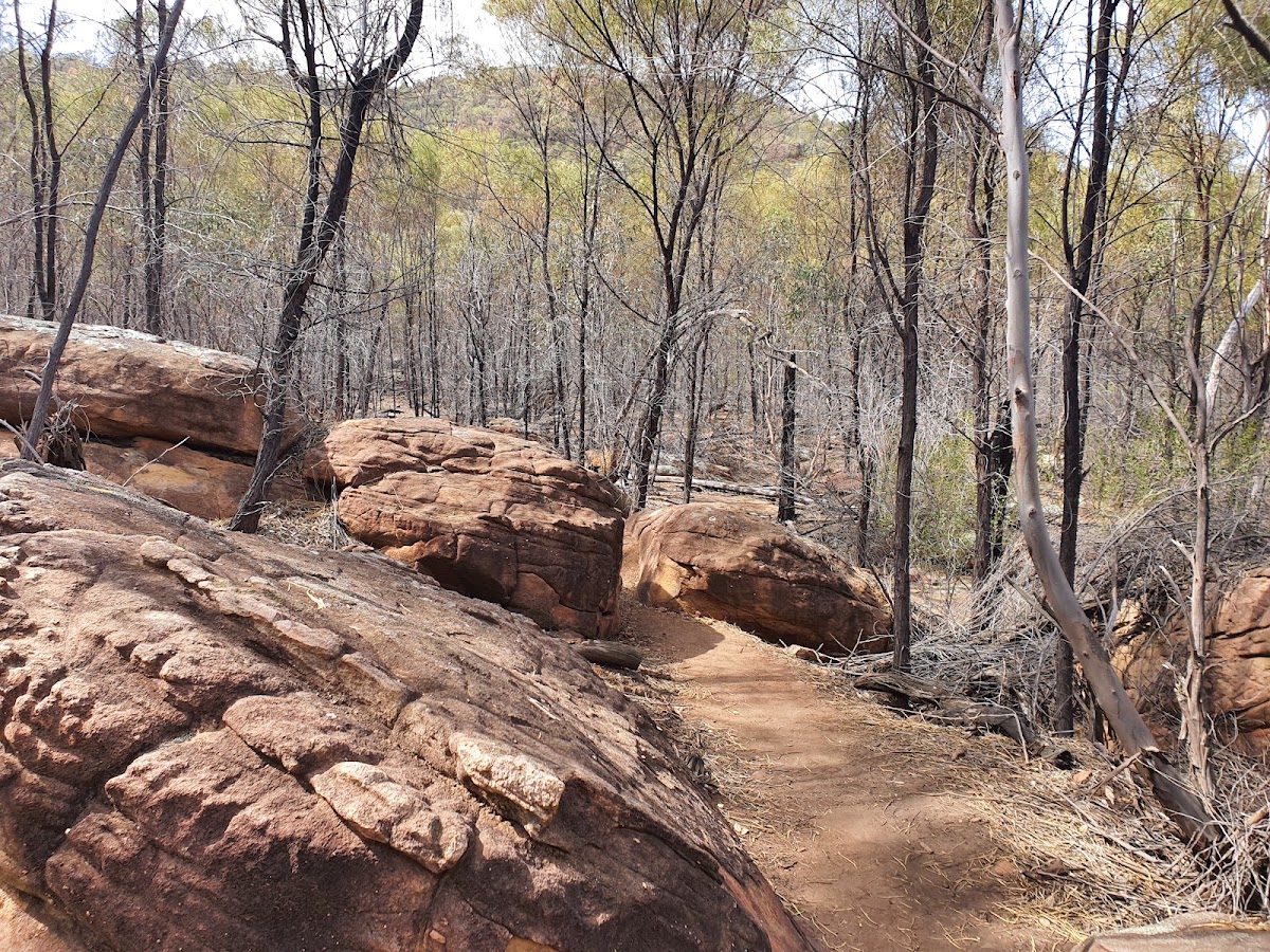 Weddin Mountains National Park