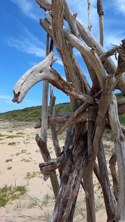 Warrain Beach