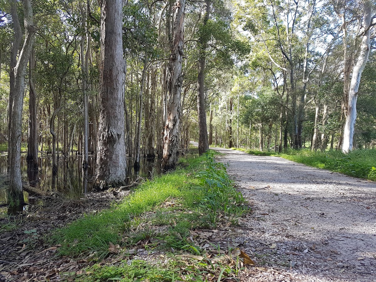 Bayview Conservation Park