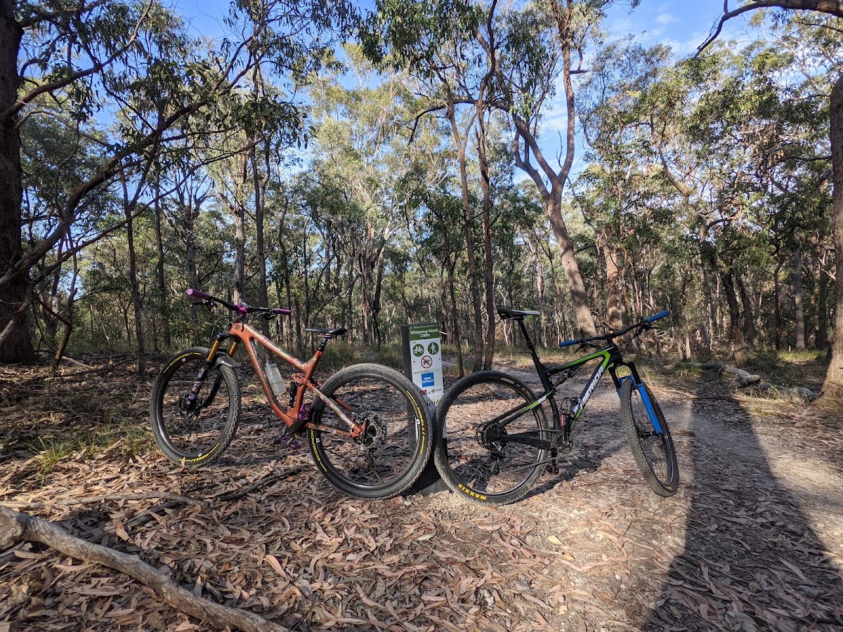 Bayview Conservation Park