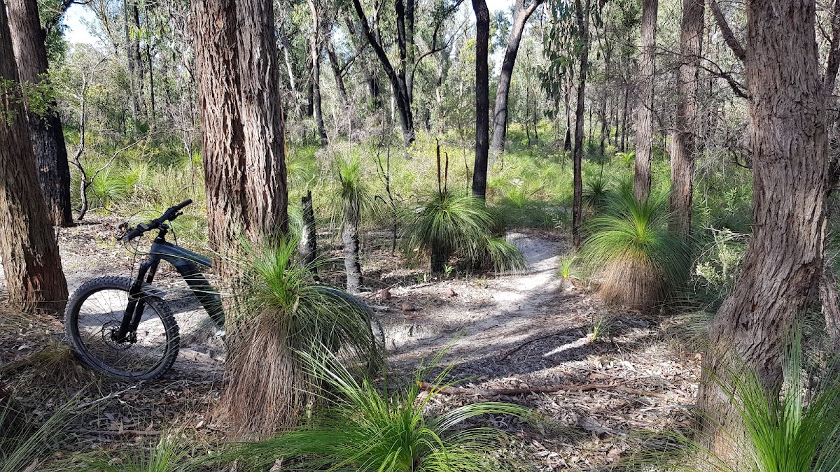 Bayview Conservation Park