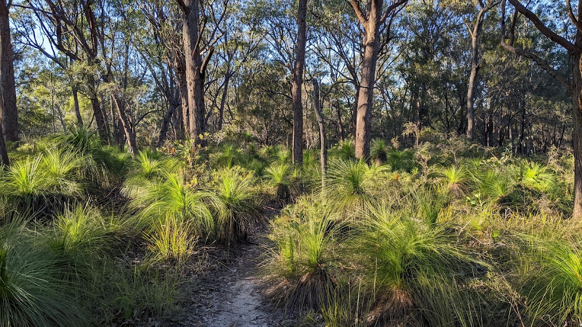 Bayview Conservation Park