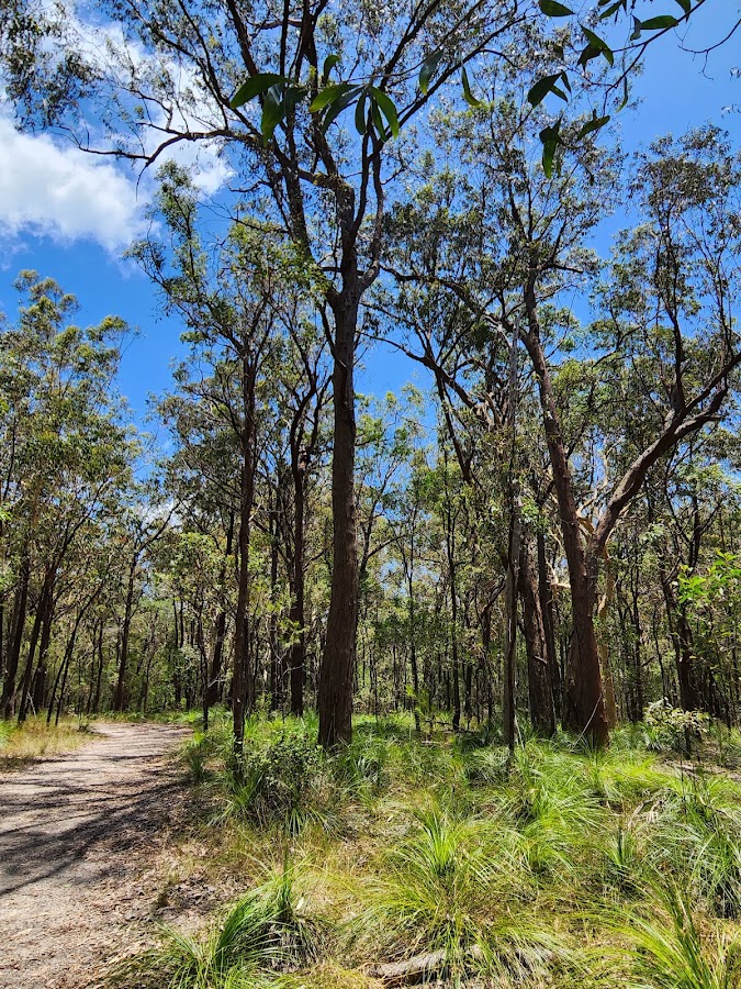Bayview Conservation Park