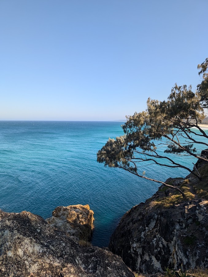 Cliff Lookout