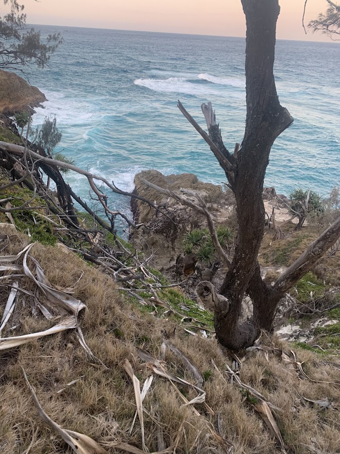 Cliff Lookout