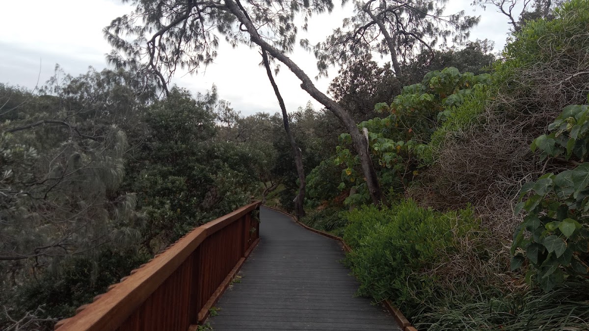 Cliff Lookout