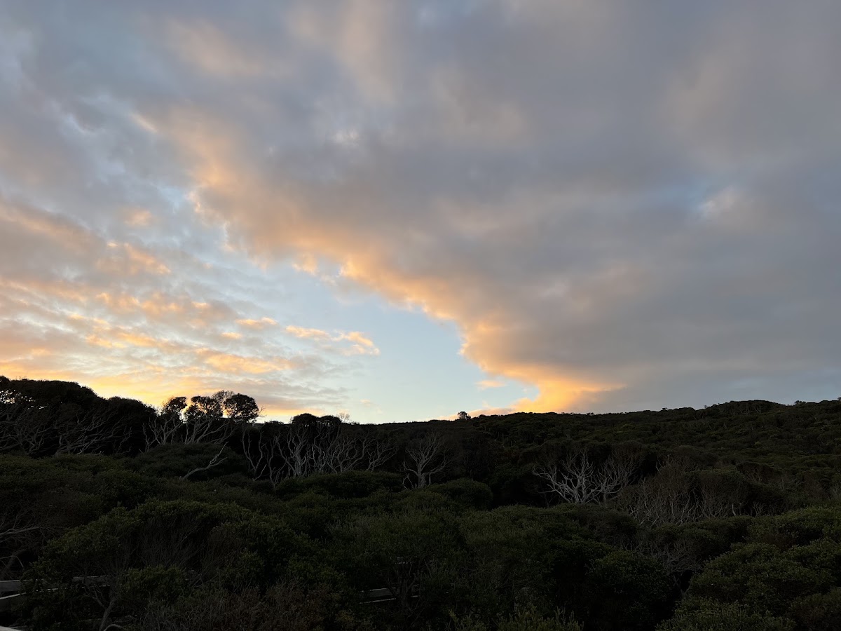 Ocean View Lookout