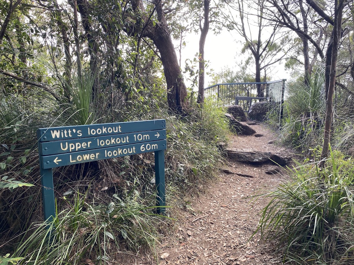 Wilfred's Lookout