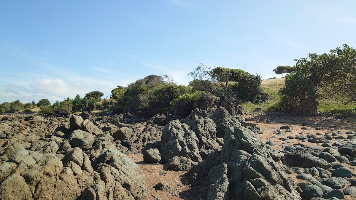 Notch Point Beach
