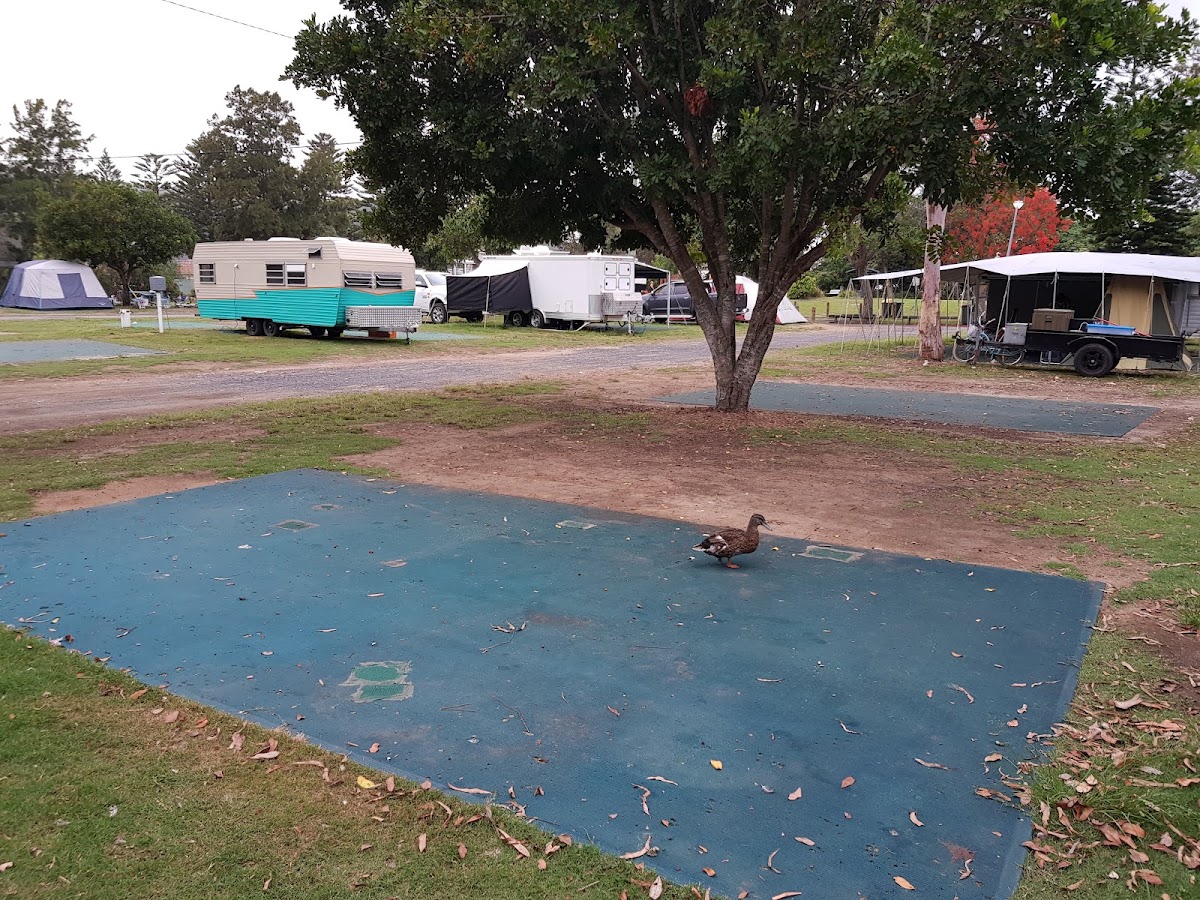 Patonga Foreshore Caravan & Camping Area