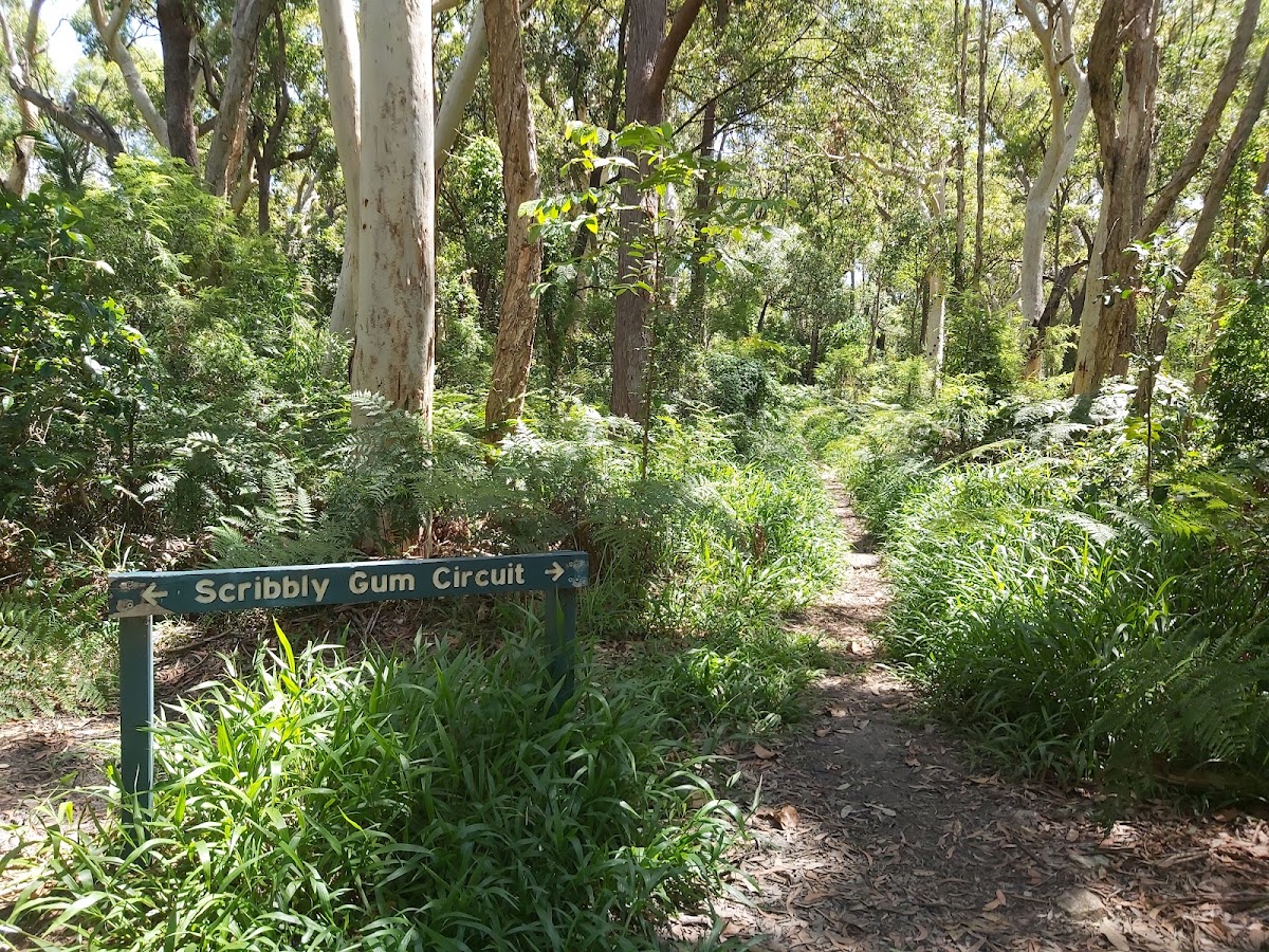 Burleigh Knoll Conservation Park