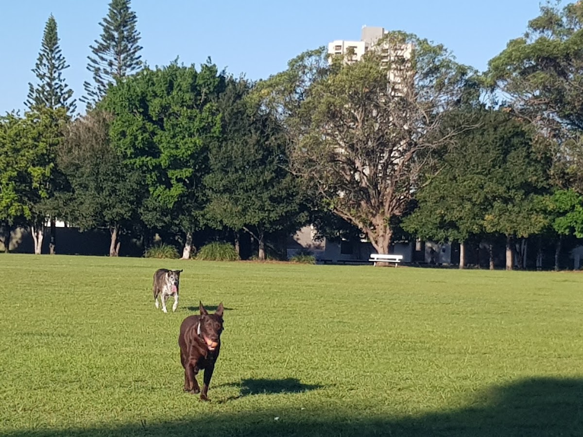 Burleigh Knoll Conservation Park