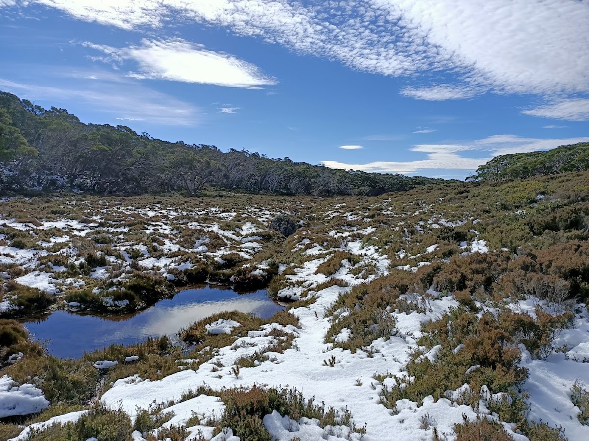 Erica State Forest