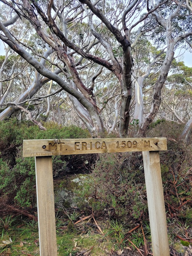 Erica State Forest