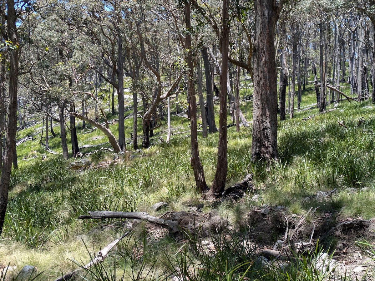 Capoompeta National Park