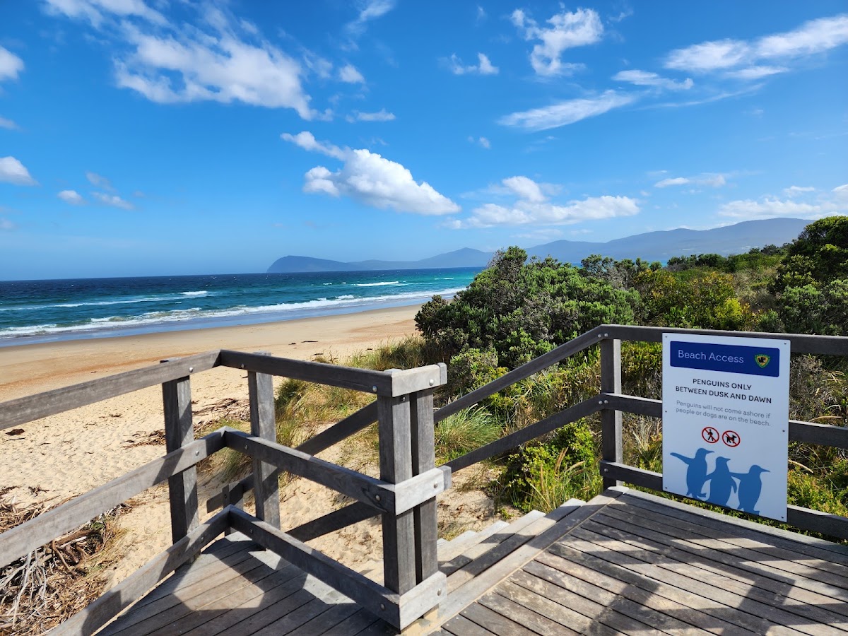 Truganini Lookout